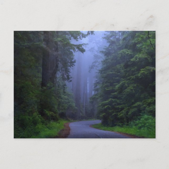 Misty Redwood National Park-vykort Vykort (Framsida)