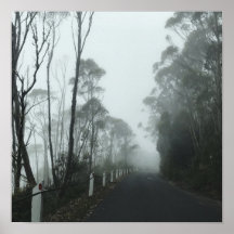 Misty road up kunanyi/Mt Wellington Tasmania