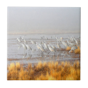 Misty Sandhill Cranes Kakelplatta