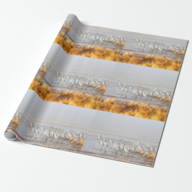 Misty Sandhill Cranes Presentpapper (Utrullad)
