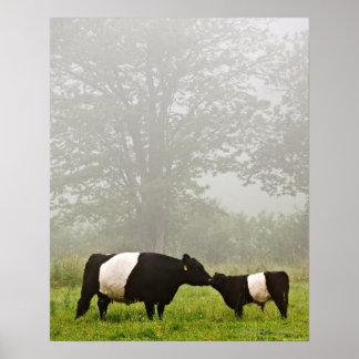 Misty scen av en senkommen galgko som mottar henne poster