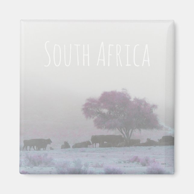 Misty South Afrika Rural Landscape SA Magnet (Framsidan)
