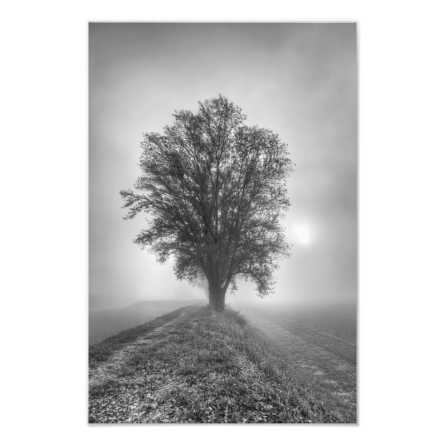 Misty Sunrise Fototryck (Framsidan)