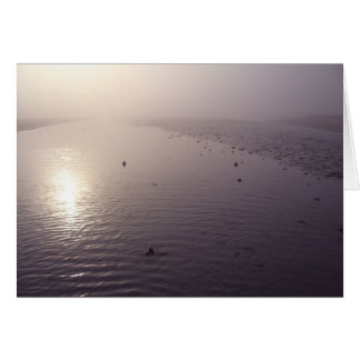 Misty sunset hälsningskort