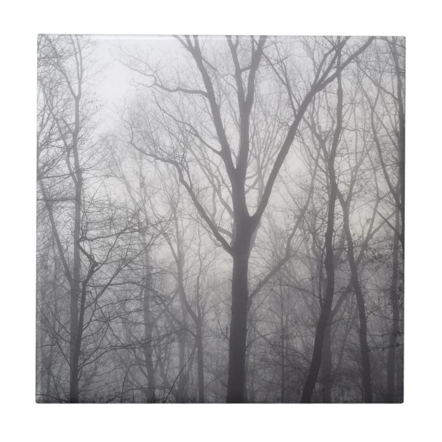 Misty Träd Grått Woodland Kakelplatta (Framsidan)