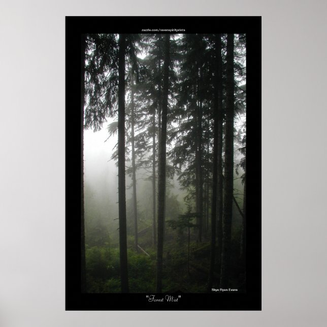 Misty Träd Wilderness Forest Photo Print Poster (Framsidan)