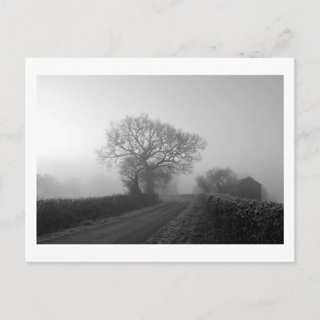 Misty Winter Morgon: Cheshire, England Vykort (Framsida)