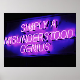 MISUNDERSTOOD GENIUS ROSA OCH SVART POSTER