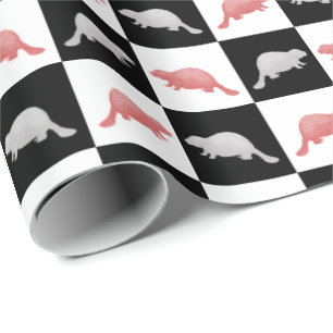 MIT Beavers Presentpapper