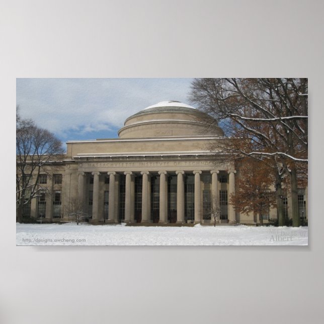 MIT Underbar Dome (Winter) Poster (Framsidan)