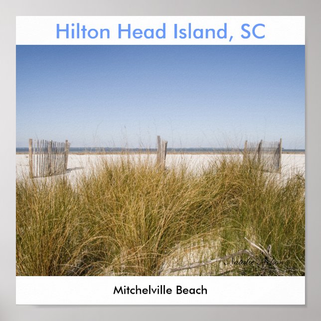 Mitchelville Beach 2008, Natalie Nelson Poster (Framsidan)