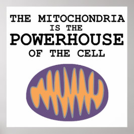 Mitochondria är Powerhouse - Poster