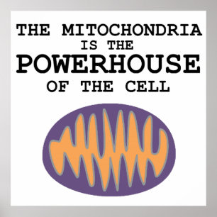 Mitochondria är Powerhouse - Poster