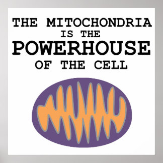 Mitochondria är Powerhouse - Poster