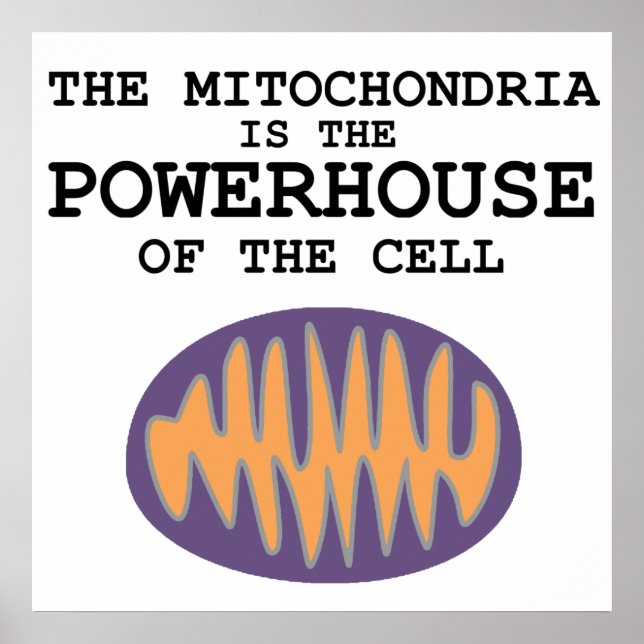 Mitochondria är Powerhouse - Poster (Framsidan)