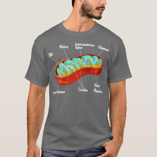 Mitochondria Cell Biology Biolog Science T Shirt