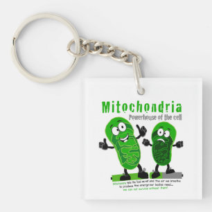 Mitochondriakraftstation av cellen