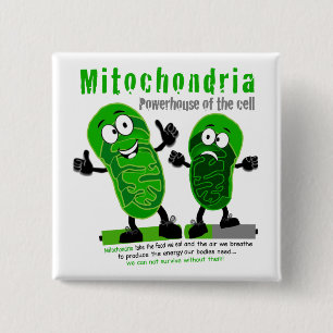 Mitochondriakraftstation av cellen knapp