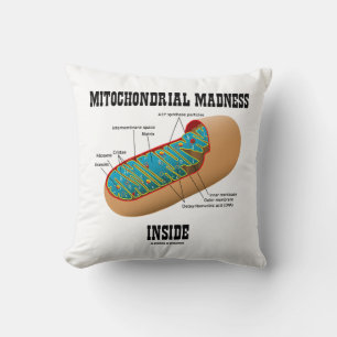 Mitochondrial Galenhet Inside Mitochondrion Biolog Kudde