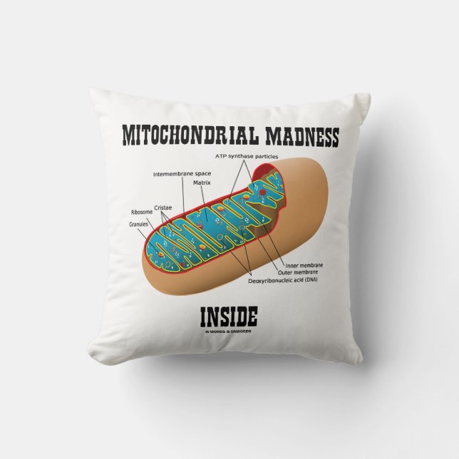 Mitochondrial Galenhet Inside Mitochondrion Biolog Kudde (Framsida)