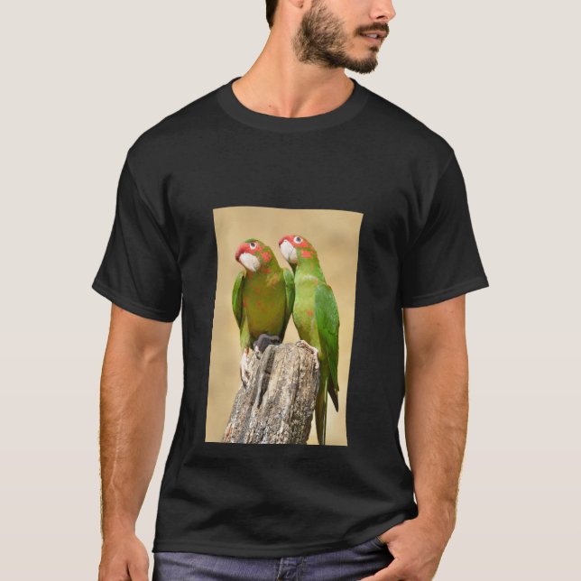 Mitred Parakeet on wood Postcard Square Stick T Shirt (Framsida)