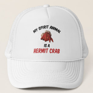 Mitt androder är en Hermit Crab Keps