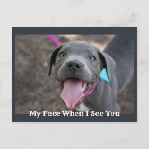 Mitt Ansikte när jag ser dig Cute Puppy-vykort Vykort