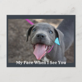 Mitt Ansikte när jag ser dig Cute Puppy-vykort Vykort