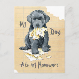Mitt Bouvier des Flandres Ate My Homwork Postcard Vykort