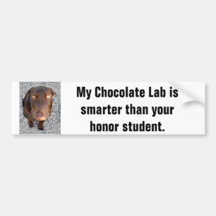 Mitt chokladlabb som är mer smart än din bildekal