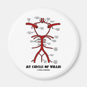 Mitt cirkla av Willis (den Anatomical humorn för Magnet