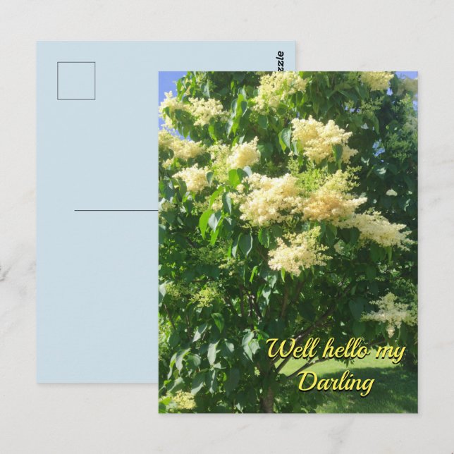 Mitt Darling-vykort Vykort (Fram/baksida)