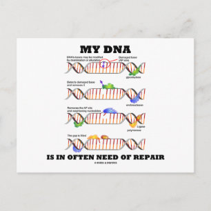 Mitt DNA behöver ofta repareras (DNA Humor) Vykort