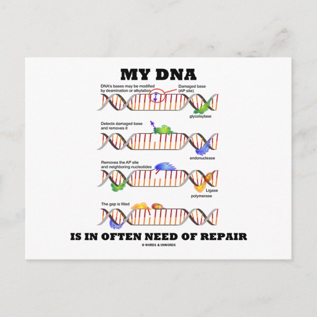 Mitt DNA behöver ofta repareras (DNA Humor) Vykort (Framsida)