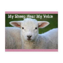 Mitt får hör min röst, John 10:27 Bible Verse