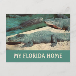 Mitt Florida Hem Gator Vykort