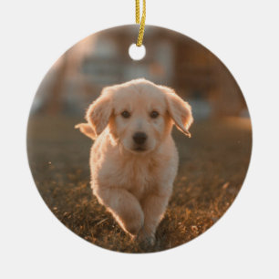 Mitt första foto i den moderna skriften Puppy Pet Julgransprydnad Keramik
