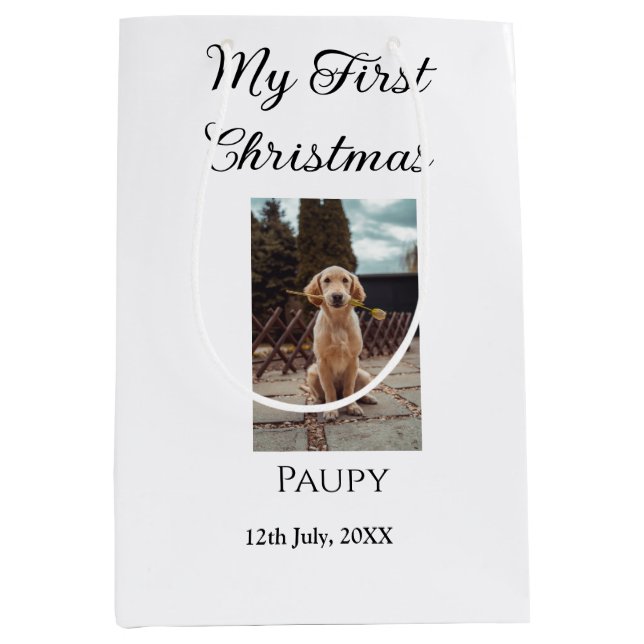 Mitt första julfoto för att lägga till namn hund-k (Framsidan)