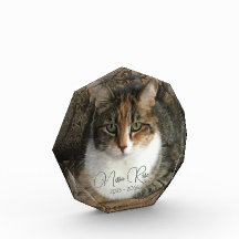 Mitt foto-minnesmärke