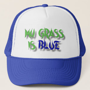 MITT GRÄS ÄR BLUE-HAT KEPS