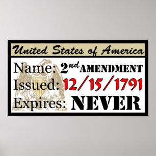 Mitt Gun-tillstånd! Poster