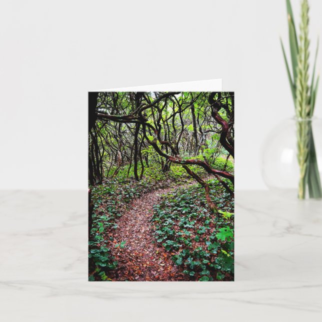 Mitt hälsningskort med utomhusscen kort (Framsida)