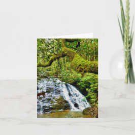 Mitt hälsningskort med vattenfall kort