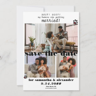 Mitt humana Gifta sig foto Collage Hund Bröllop Spara Datumet
