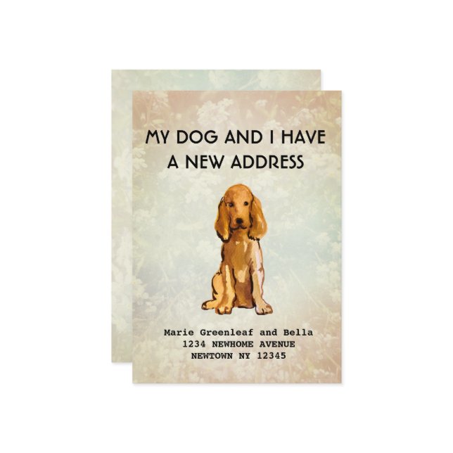 Mitt hund och jag har flyttat Meddelande (Fram/Back In Situ)