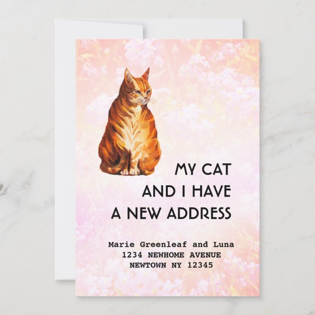 Mitt husdjur katt och jag har flyttat Meddelande (Framsida)