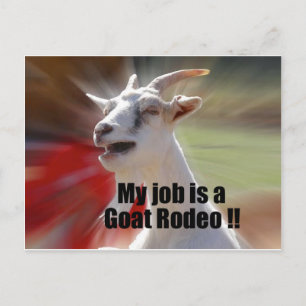 Mitt jobb är ett Goat Rodeo Goat Photography Vykort