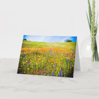 Mitt Kalifornien 1 Kort