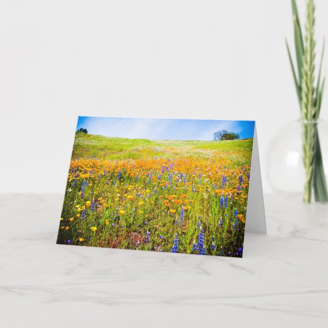 Mitt Kalifornien 1 Kort (Framsida)