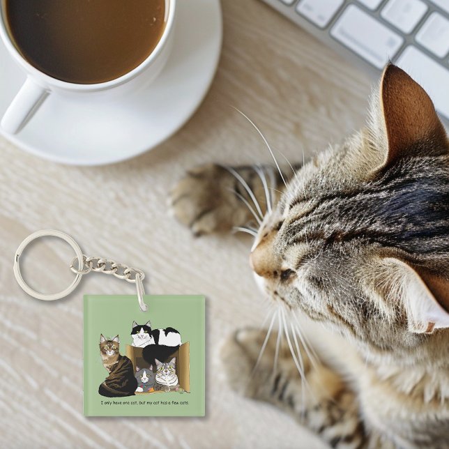Mitt Katt har Kats QR-kod för katter (Skapare uppladdad)